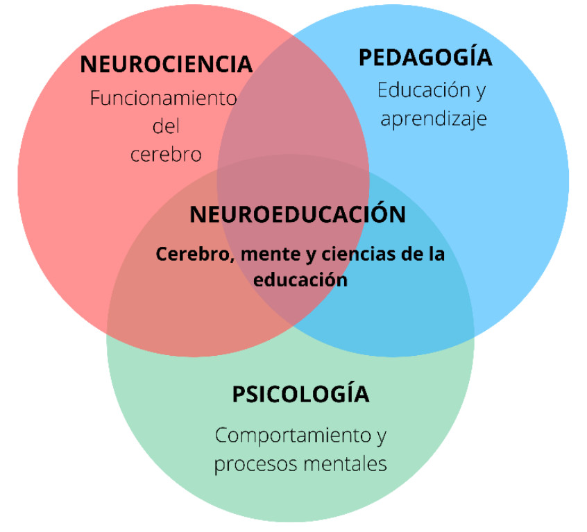 Neuroeducacion